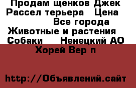 Продам щенков Джек Рассел терьера › Цена ­ 25 000 - Все города Животные и растения » Собаки   . Ненецкий АО,Хорей-Вер п.